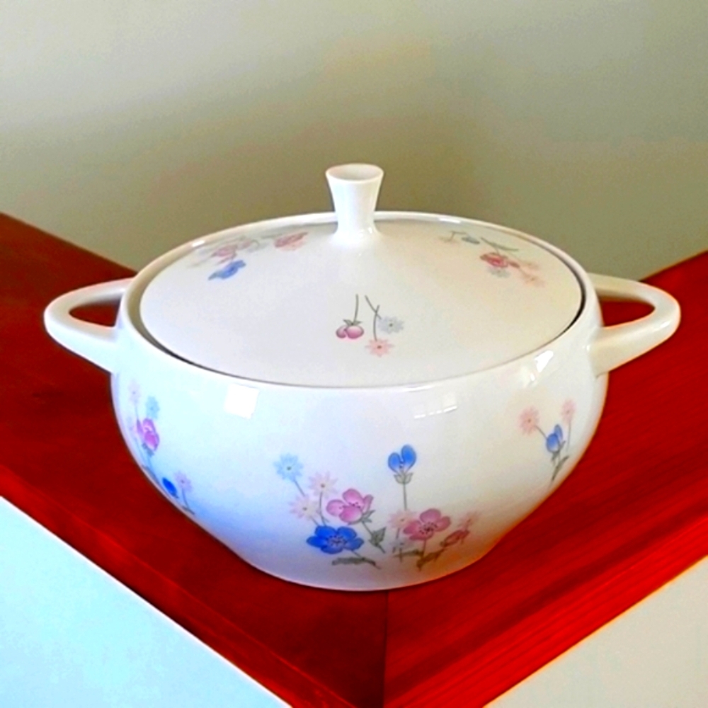 Vintage German Porcelain Thomas Pattern Number 31 Lidded Casserole